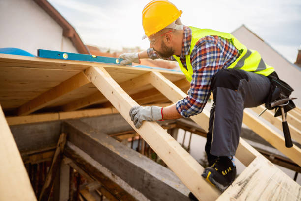 Best Roof Gutter Cleaning  in Landover, MD